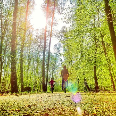 Bungis - 28 Ferienhaeuser Am Grimnitzsee G4 Joachimsthal Eksteriør bilde